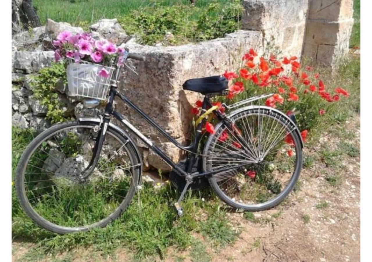 Mansarda Romantica "Il Nido Delle Rondini" Conversano Exterior photo